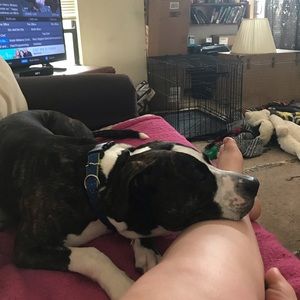 Meet your Posher, Maya